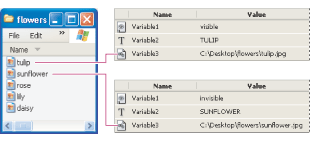 Assigning data values to variables to create two data sets