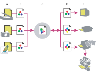 Illustration of Color management with these callouts: A. Source devices create documents containing raw color values. B. Source profiles describe the devices' color spaces and document profiles describe the documents' color spaces. C. Taking the raw color values with the profile data, the color management system identifies the actual colors in the document using a color reference (Lab). D. Device profiles describe the color spaces of each device. E. The color management system converts the raw color values to the color space of each device.