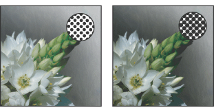 Proof (no dot gain), and printed image (with dot gain)