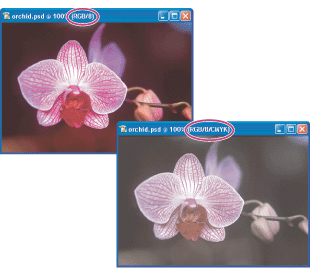 In Photoshop, you can compare the colors in a soft proof with the original image by opening the image in two windows, each showing the image in a different working space.