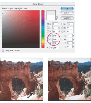 Setting the target value for the Set White Point Eyedropper tool and then clicking a highlight to assign it the target value 