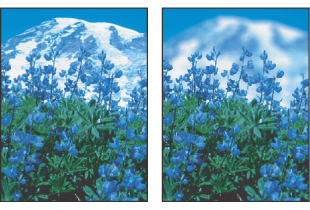 Before (left) and after (right) using the Lens Blur filter; the background is blurred but foreground stays sharp