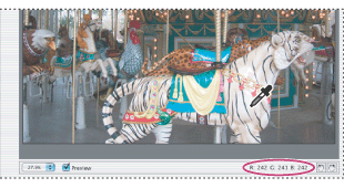 RGB values appear whenever a tool pointer hovers over an area of the preview image.