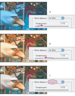 Illustration of Correcting the white balance with these callouts: A. Moving the Temperature slider to the right corrects a photo taken with a higher color temperature of light B. Moving the Temperature slider to the left corrects a photo taken with a lower color temperature of light C. Resulting photo with color temperature adjustment