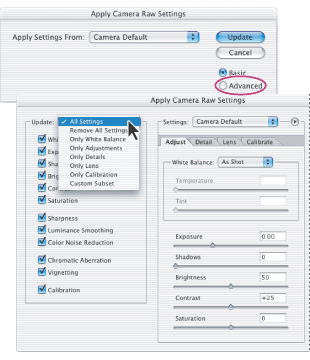Apply Camera Raw Settings dialog box in Advanced mode