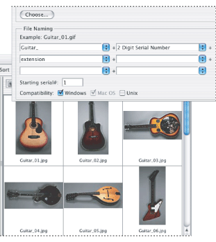 Batch renaming files using a combination of file naming elements and text