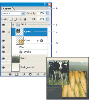Illustration of Photoshop Layers palette with these callouts: A. Layers palette menu B. Layer set C. Layer D. Layer thumbnail E. Layer effect
