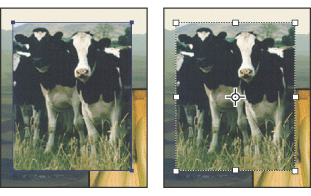 Layer content with selection handles (left) and with transform mode selected (right)