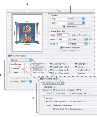 Illustration of Print with Preview dialog box with these callouts: A. Preview print B. Position and scale image C. Specify options to prepare a file for prepress D. Specify the document's working space and choose a color management profile for printing on a desktop printer