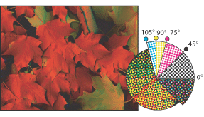 Halftone screens with process ink at different screen angles; correctly registered dots form rosettes