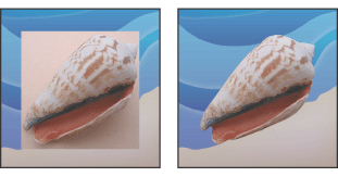 Image imported into Illustrator or InDesign without image clipping path (left), and with image clipping path (right)