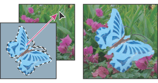 Dragging a selection into another image