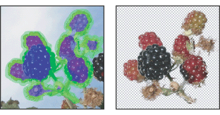 Selected area highlighted and filled, and extracted object