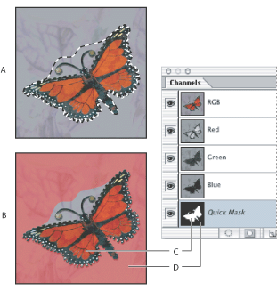 Illustration of Selecting in Standard mode and Quick Mask mode with these callouts: A. Standard mode B. Quick Mask mode C. Selected pixels appear as white in channel thumbnail D. Rubylith overlay protects area outside selection and unselected pixels appear as black in channel thumbnail