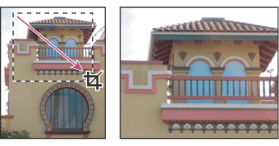 Using the Crop tool
