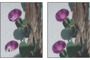 Altering an image with the Clone Stamp tool