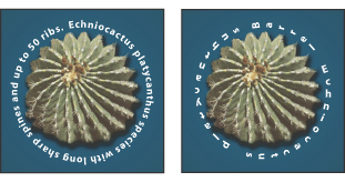 Example of horizontal and vertical type on a closed path created by a shape tool