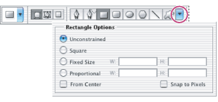 (Photoshop) Click the inverted arrow to display options for the selected shape.