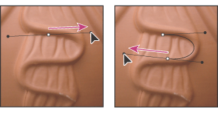 Drag in the direction of the curve to set the first anchor point. Drag in the opposite direction to complete the curve segment.