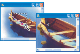 Dragging the Zoom tool to magnify the view of an image