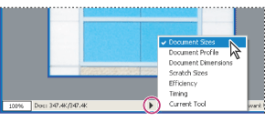 Illustration of file information view options in Photoshop