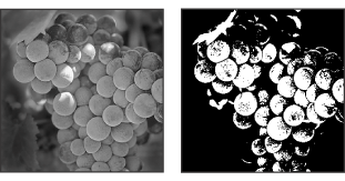 Original grayscale image, and 50% Threshold conversion method