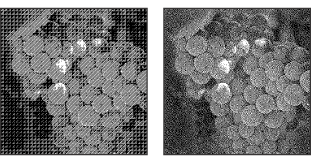 Pattern Dither conversion method, and Diffusion Dither conversion method