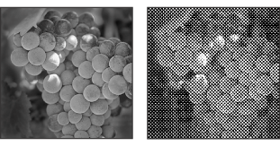 Original grayscale image, and Halftone Screen conversion: 53 lpi, 45° angle, round dot